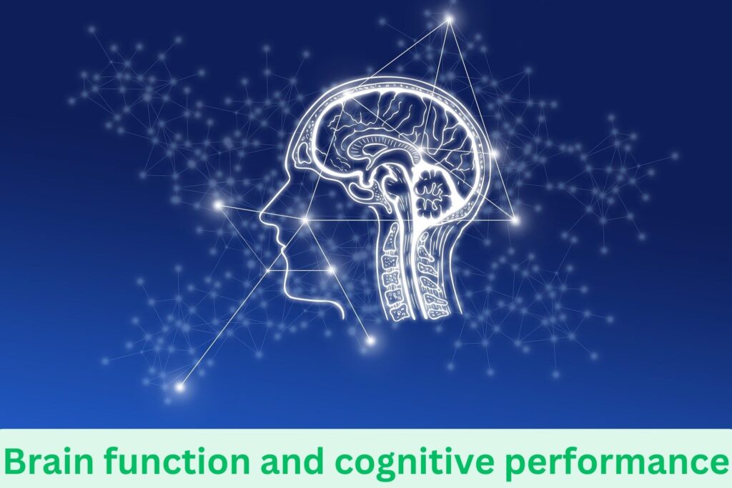 Brain function and cognitive performance