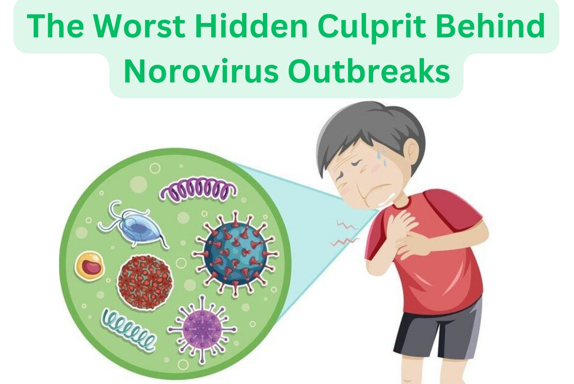 The Worst Hidden Culprit Behind Norovirus Outbreaks