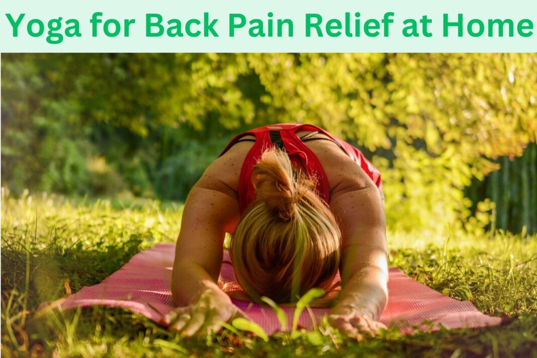 Yoga for Back Pain Relief at Home