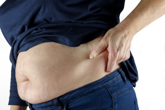 Belly Fat