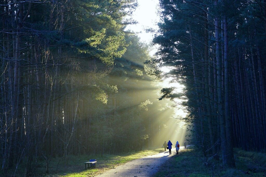 Sunshine and Fresh Air