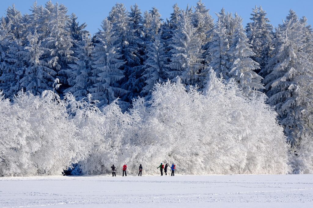 Winter Months