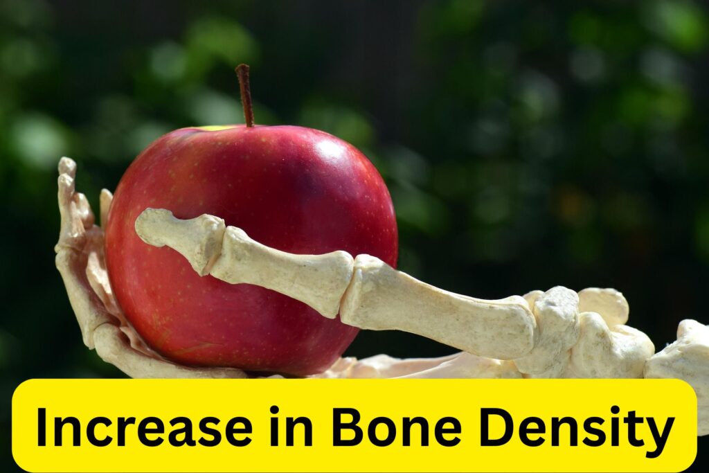 Increase in Bone Density